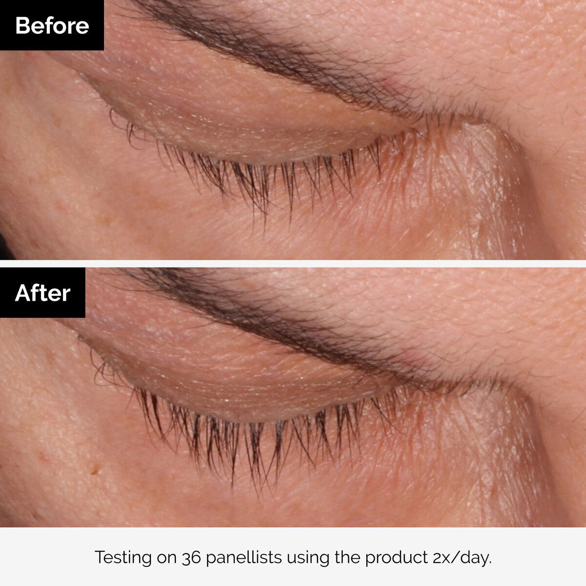 The Ordinary - Multi-Peptide Lash and Brow Serum Fantastic Look Albania Tirana
